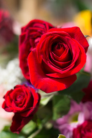 Valentine Day - Tips for the newly single